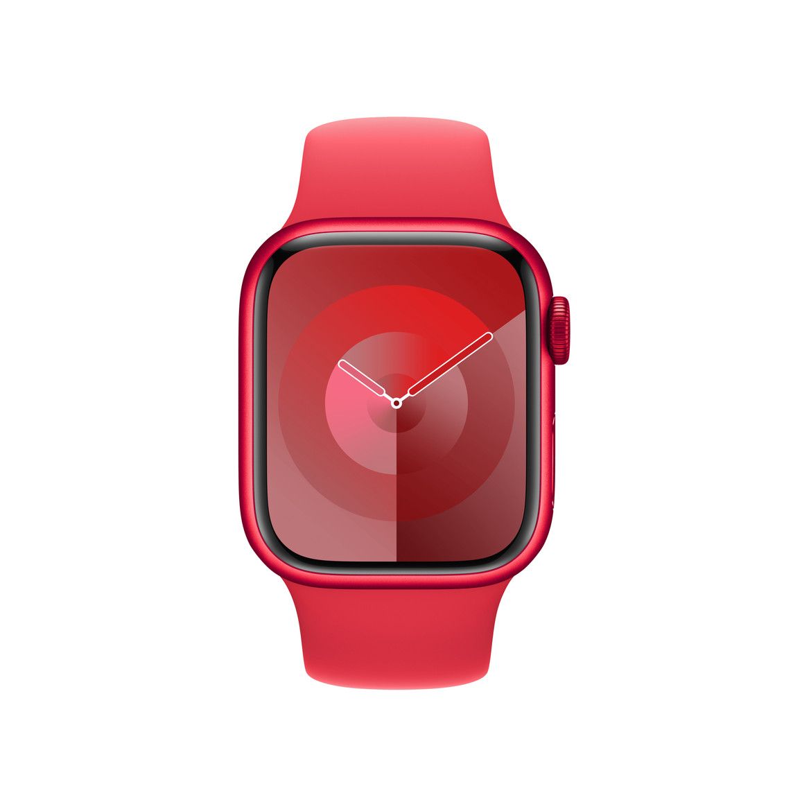 حزام رياضي (PRODUCT)RED مقاس 41 مم - صغير/متوسط